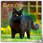Publishers, Browntrout - Black Cats - Schwarze Katzen 2026 - 16-Monatskalender