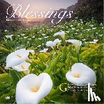 Browntrout - Blessings 2026 12 X 24 Inch (Hanging) Monthly Square Wall Calendar Plastic-Free