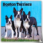 Publishers, Browntrout - Boston Terriers 2026 Square Flap Calendar