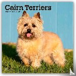 Publishers, Browntrout - Cairn Terriers 2026 Square Flap Calendar