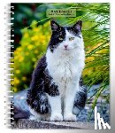 Browntrout - Cat Lovers 2026 6 X 7.75 Inch Spiral-Bound Wire-O Weekly Engagement Planner Calendar New Full-Color Image Every Week