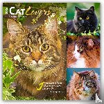 Publishers, Browntrout - Cat Lovers 2026 Square Flap Foil Calendar