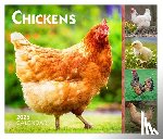Browntrout - Chickens 2026 6 X 5 Inch Daily Desktop Box Calendar New Page Every Day