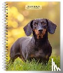Browntrout - Dachshunds 2026 Engagement Diary