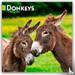Publishers, Browntrout - Donkeys 2026 Square Flap Calendar