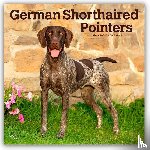 Publishers, Browntrout - German Shorthaired Pointers 2026 Square Flap Calendar