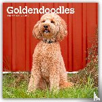 Publishers, Browntrout - Goldendoodles - Goldendoodle 2026 - 16-Monatskalender