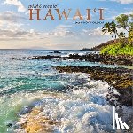 Browntrout - Hawaii Wild & Scenic 2026 12 X 24 Inch (Hanging) Monthly Square Wall Calendar Foil Stamped Cover Plastic-Free