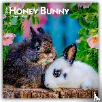 Publishers, Browntrout - Honey Bunny - Süße Häschen 2026 - 16-Monatskalender