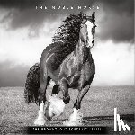 Browntrout - The Browntrout Portrait Series: The Noble Horse 2026 12 X 24 Inch (Hanging) Monthly Square Wall Calendar Plastic-Free