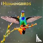 Browntrout - Hummingbirds 2026 12 X 24 Inch (Hanging) Monthly Square Wall Calendar Foil Stamped Cover Plastic-Free