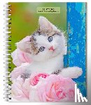Browntrout - Kittens 2026 Engagement Diary