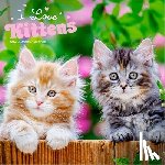 Publishers, Browntrout - I Love Kittens - Ich liebe Katzenbabys 2026 - 16-Monatskalender
