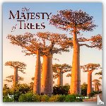 Publishers, Browntrout - The Majesty of Trees - Die Erhabenheit der Bäume 2026 - 16-Monatskalender
