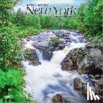 Browntrout - New York Wild & Scenic 2026 12 X 24 Inch (Hanging) Monthly Square Wall Calendar Plastic-Free