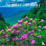 Browntrout - North Carolina Wild & Scenic 2026 12 X 24 Inch (Hanging) Monthly Square Wall Calendar Plastic-Free