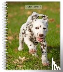 Browntrout - I Love Puppies 2026 6 X 7.75 Inch Spiral-Bound Wire-O Weekly Engagement Planner Calendar New Full-Color Image Every Week