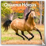 Publishers, Browntrout - Quarter Horses - Quarter Horse 2026 - 16-Monatskalender