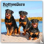 Publishers, Browntrout - Rottweilers - Rottweiler 2026 - 16-Monatskalender