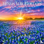 Browntrout - Texas Wildflowers 2026 12 X 24 Inch (Hanging) Monthly Square Wall Calendar Plastic-Free