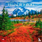 Browntrout - Washington Wild & Scenic 2026 12 X 24 Inch (Hanging) Monthly Square Wall Calendar Plastic-Free