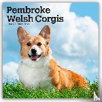 Publishers, Browntrout - Pembroke Welsh Corgis - Pembroke Welsh Corgi 2026 - 16-Monatskalender