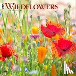 Browntrout - Wildflowers 2026 12 X 24 Inch (Hanging) Monthly Square Wall Calendar Plastic-Free