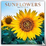 Publishers, Browntrout - Sunflowers 2026 Square Plato Foil Calendar