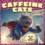 Browntrout - Caffeine Cats 2026 12 X 24 Inch (Hanging) Monthly Square Wall Calendar Plastic-Free