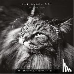 Browntrout - The Browntrout Portrait Series: The Regal Cat 2026 12 X 24 Inch (Hanging) Monthly Square Wall Calendar Plastic-Free