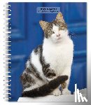 Browntrout - Cat Lovers 2027 6 X 7.75 Inch Spiral-Bound Wire-O Weekly Engagement Planner Calendar New Full-Color Image Every Week