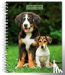 Browntrout - I Love Puppies 2027 6 X 7.75 Inch Spiral-Bound Wire-O Weekly Engagement Planner Calendar New Full-Color Image Every Week