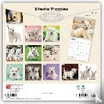 BrownTrout - West Highland White Terrier Puppies | 2027 12 x 24 Inch (Hanging) Monthly Square Wall Calendar | Plastic-Free | BrownTrout | Animals Dog Breeds Puppy