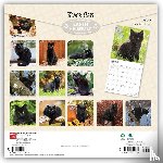 Browntrout - Black Cats 2027 12 X 24 Inch (Hanging) Monthly Square Wall Calendar Foil Stamped Cover Plastic-Free