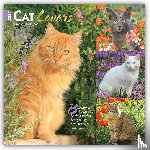 Browntrout - Cat Lovers 2027 12 X 24 Inch (Hanging) Monthly Square Wall Calendar Foil Stamped Cover Plastic-Free