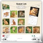 Browntrout - Ginger Cats 2027 12 X 24 Inch (Hanging) Monthly Square Wall Calendar Plastic-Free