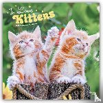 Browntrout - I Love Kittens 2027 12 X 24 Inch (Hanging) Monthly Square Wall Calendar Plastic-Free