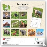 Browntrout - Baby Animals 2027 12 X 24 Inch (Hanging) Monthly Square Wall Calendar Plastic-Free
