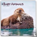 Browntrout - Baby Animals 2027 12 X 24 Inch (Hanging) Monthly Square Wall Calendar Plastic-Free