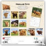 Browntrout - Highland Cows 2027 12 X 24 Inch (Hanging) Monthly Square Wall Calendar Plastic-Free