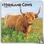 Browntrout - Highland Cows 2027 12 X 24 Inch (Hanging) Monthly Square Wall Calendar Plastic-Free