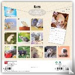 Browntrout - Rats 2027 12 X 24 Inch (Hanging) Monthly Square Wall Calendar Plastic-Free