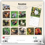 Browntrout - Roosters 2027 12 X 24 Inch (Hanging) Monthly Square Wall Calendar Plastic-Free