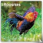 Browntrout - Roosters 2027 12 X 24 Inch (Hanging) Monthly Square Wall Calendar Plastic-Free