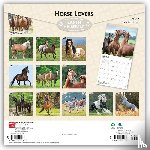 Publishers, Browntrout - Horse Lovers - Pferdeliebhaber 2027 - 16-Monatskalender