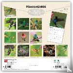 BrownTrout - Hummingbirds | 2027 12 x 24 Inch (Hanging) Monthly Square Wall Calendar | Foil Stamped Cover | Plastic-Free | BrownTrout | Animals Wildlife