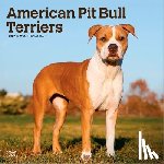 Browntrout - American Pit Bull Terriers 2027 12 X 24 Inch (Hanging) Monthly Square Wall Calendar Plastic-Free