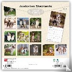 Browntrout - Australian Shepherds 2027 12 X 24 Inch (Hanging) Monthly Square Wall Calendar Plastic-Free