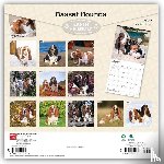 Browntrout - Basset Hounds 2027 12 X 24 Inch (Hanging) Monthly Square Wall Calendar Plastic-Free