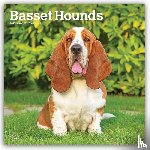 Browntrout - Basset Hounds 2027 12 X 24 Inch (Hanging) Monthly Square Wall Calendar Plastic-Free